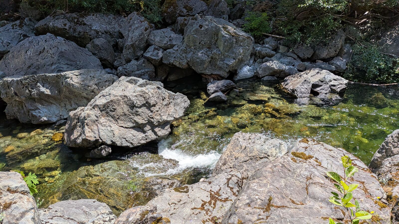 A small waterfall over boulders in a forest creek