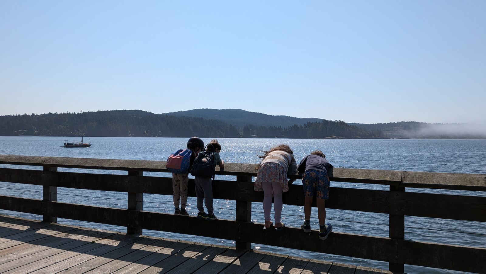 Children looking out over the ocean from a wooden dock