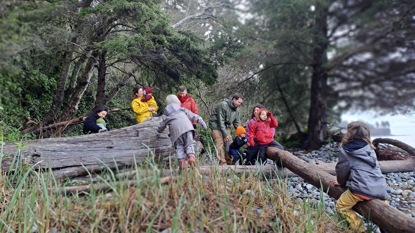A group of children and adults gathered on a fallen log at the edge of the forest