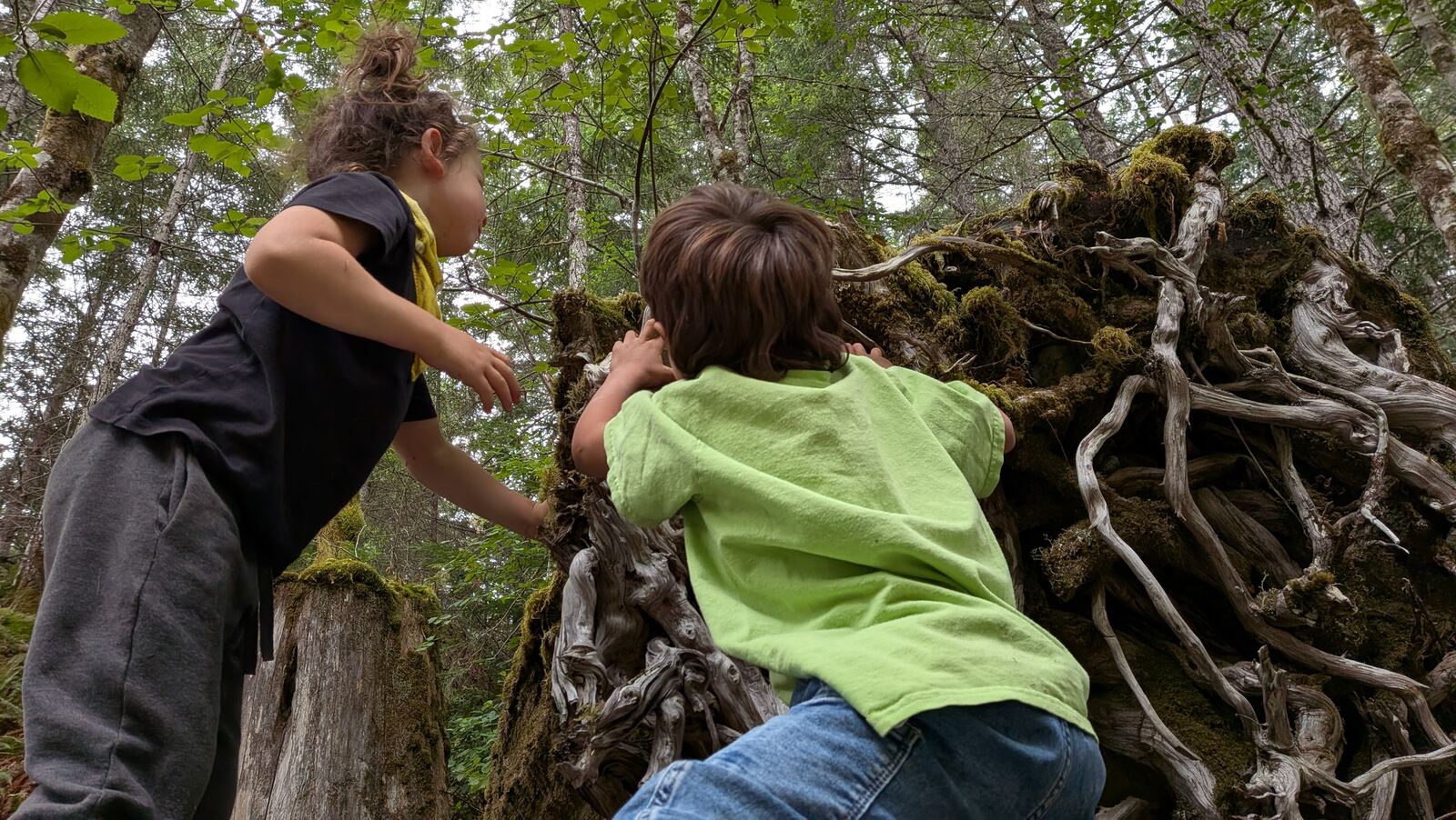 A mentor helping a child build a shelter from branches