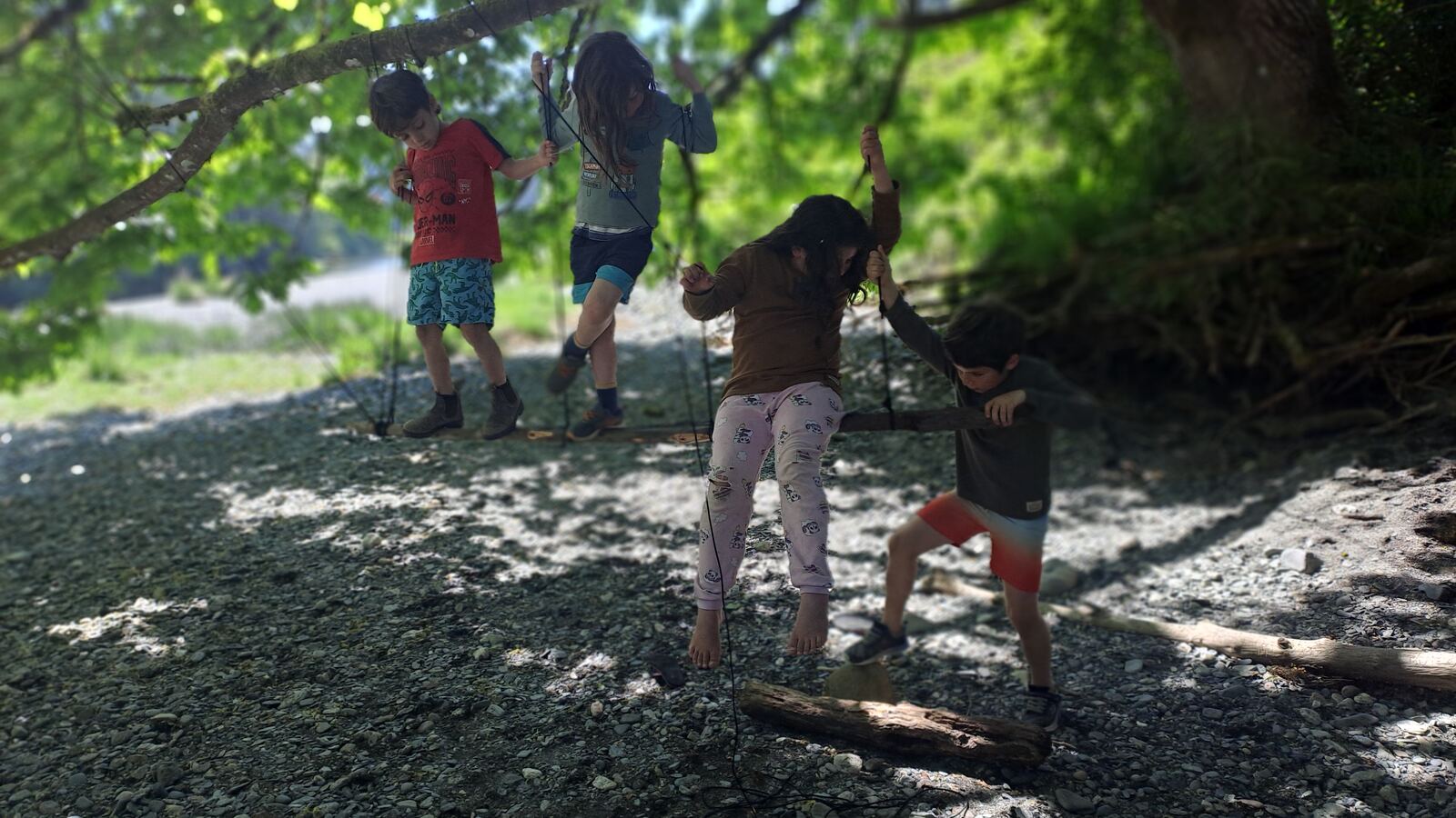 Overhead view of children playing with sticks on the forest floor