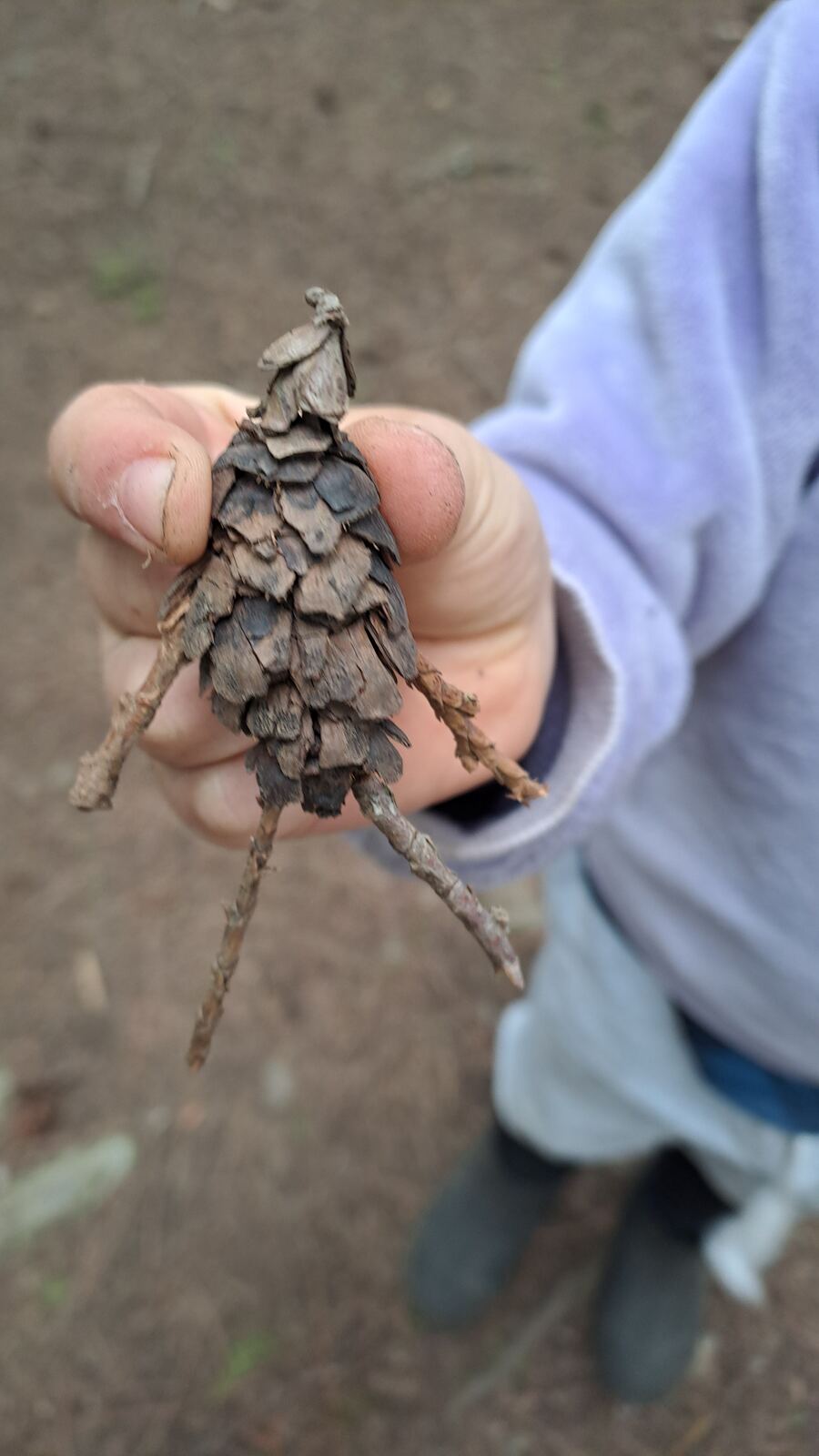 A child's hand holding a pinecone