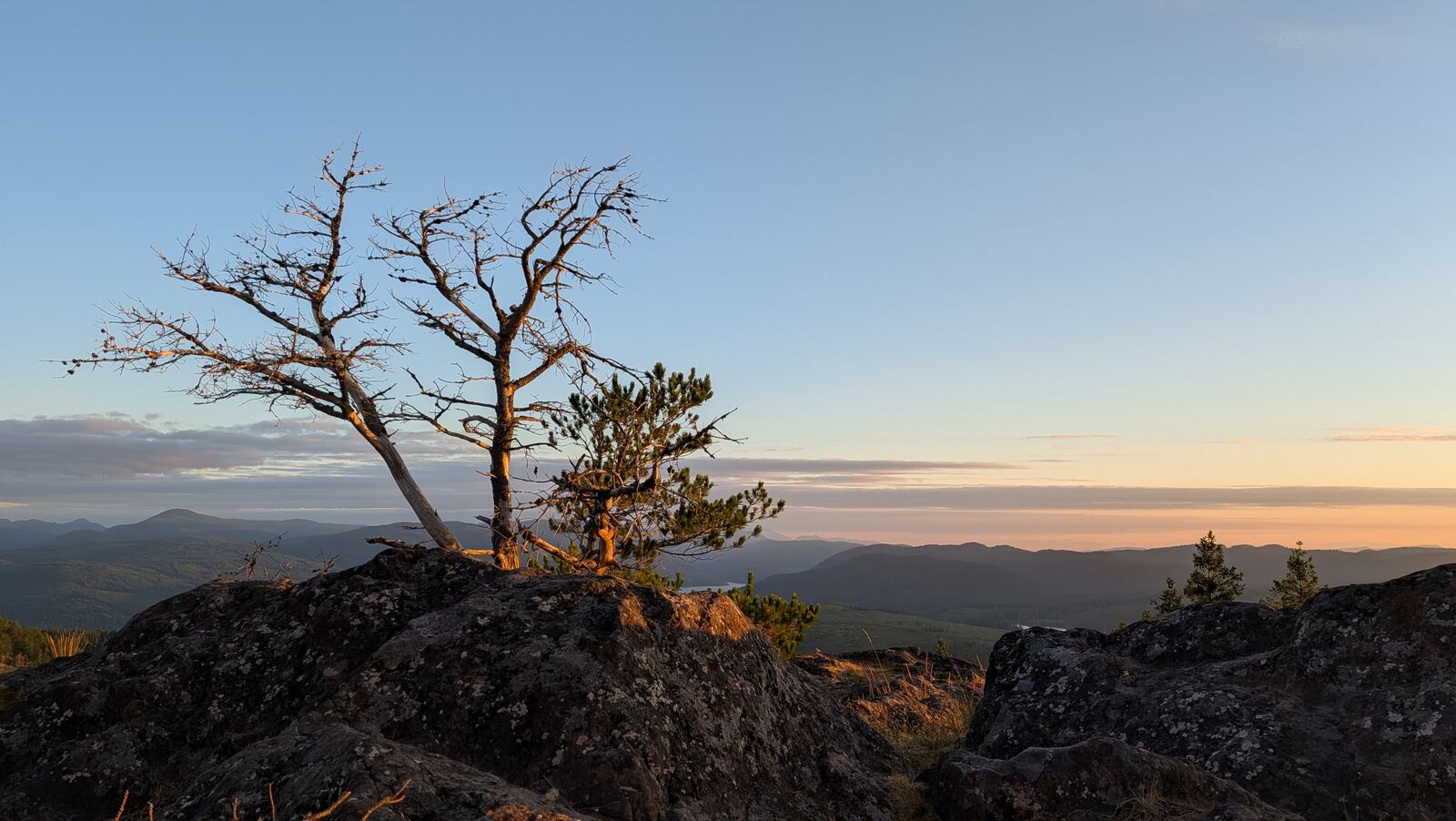Sunset over a mountain ridge with a lone tree silhouette